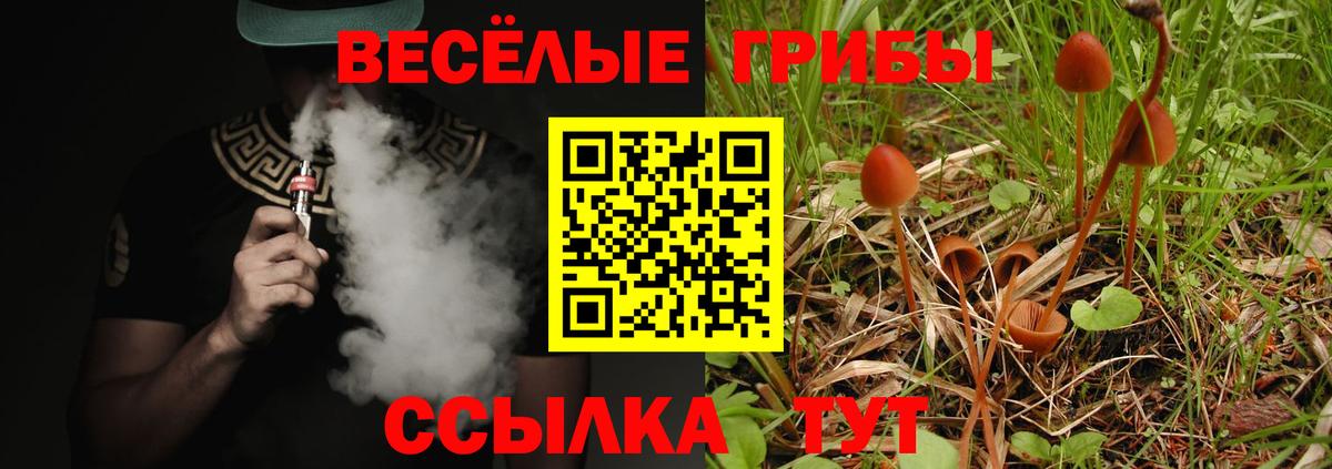 Галлюциногенные грибы GOLDEN TEACHER  Псилоцибиновые грибы мухоморы  Хабаровск  Вход с VPN 
