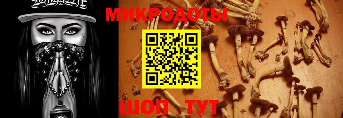 Псилоцибиновые грибы GOLDEN TEACHER Хабаровск